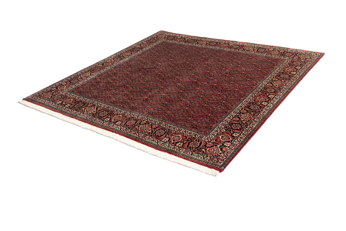 203 x 204 Bidjar