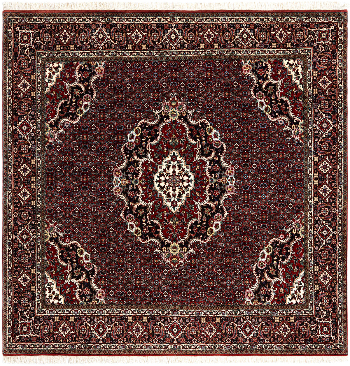 196 x 200 Bidjar