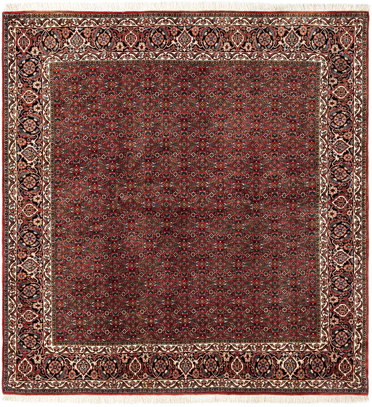 216x205 Bijar