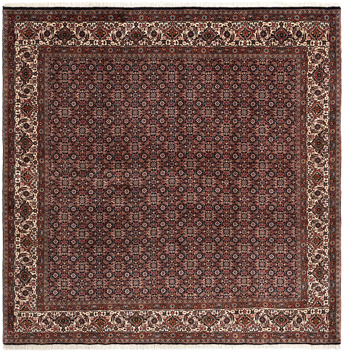 205 x 205 Bidjar
