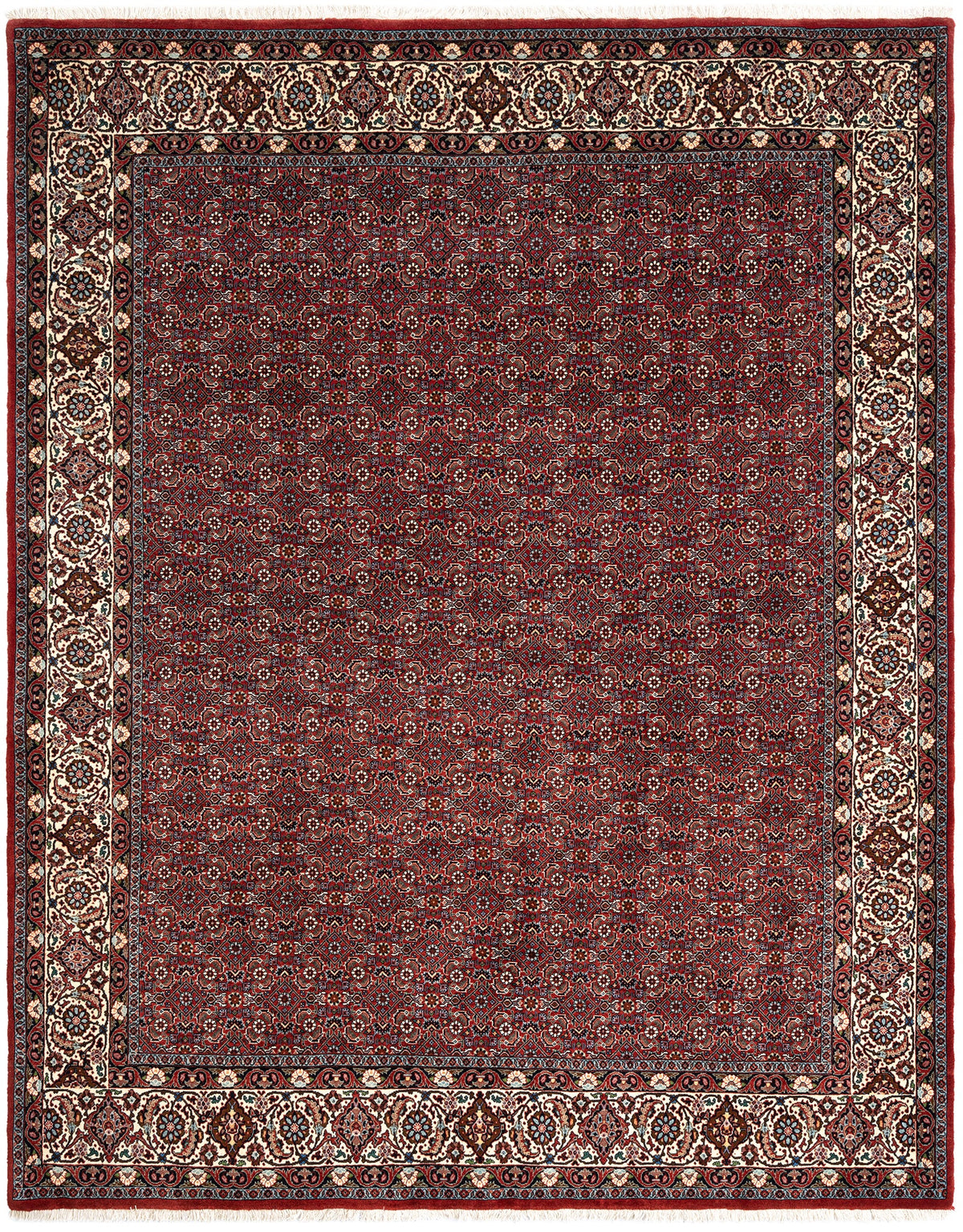 252 x 204 Bidjar