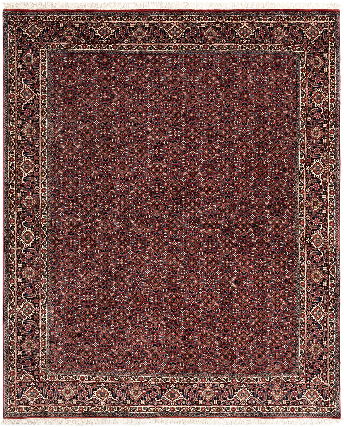 250x206 Bidjar