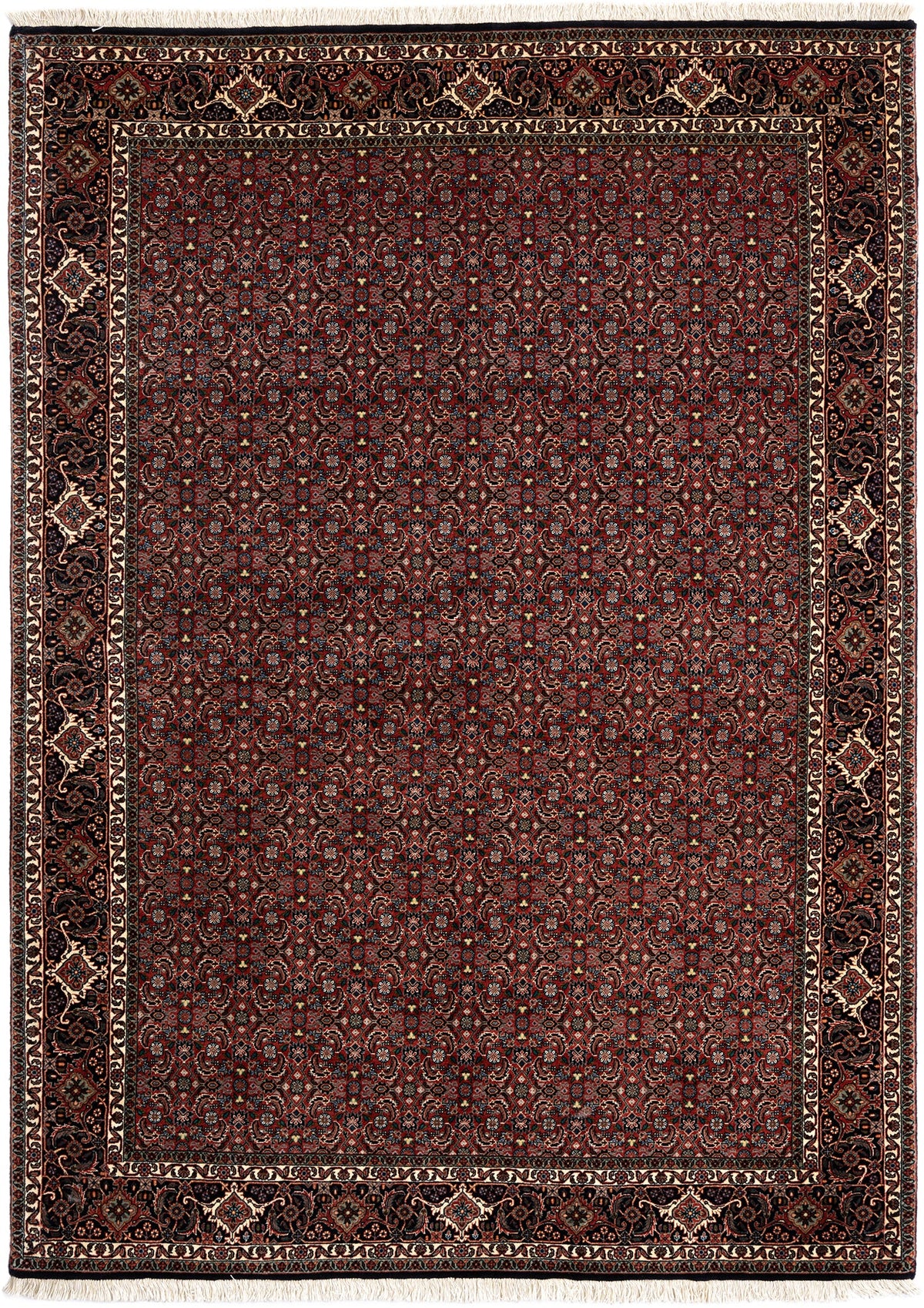 243 x 173 Bidjar