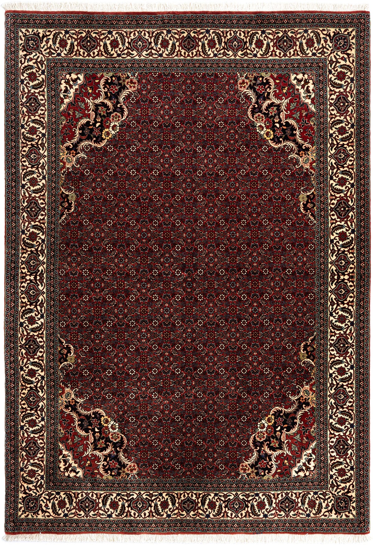 247 x 170 Bidjar