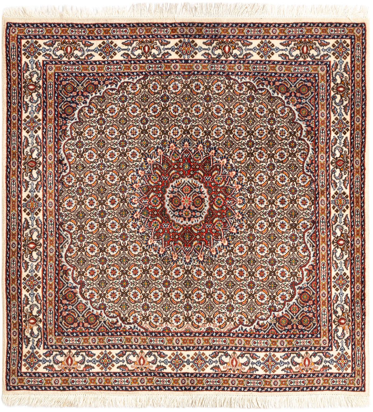 123 x 122 Moud