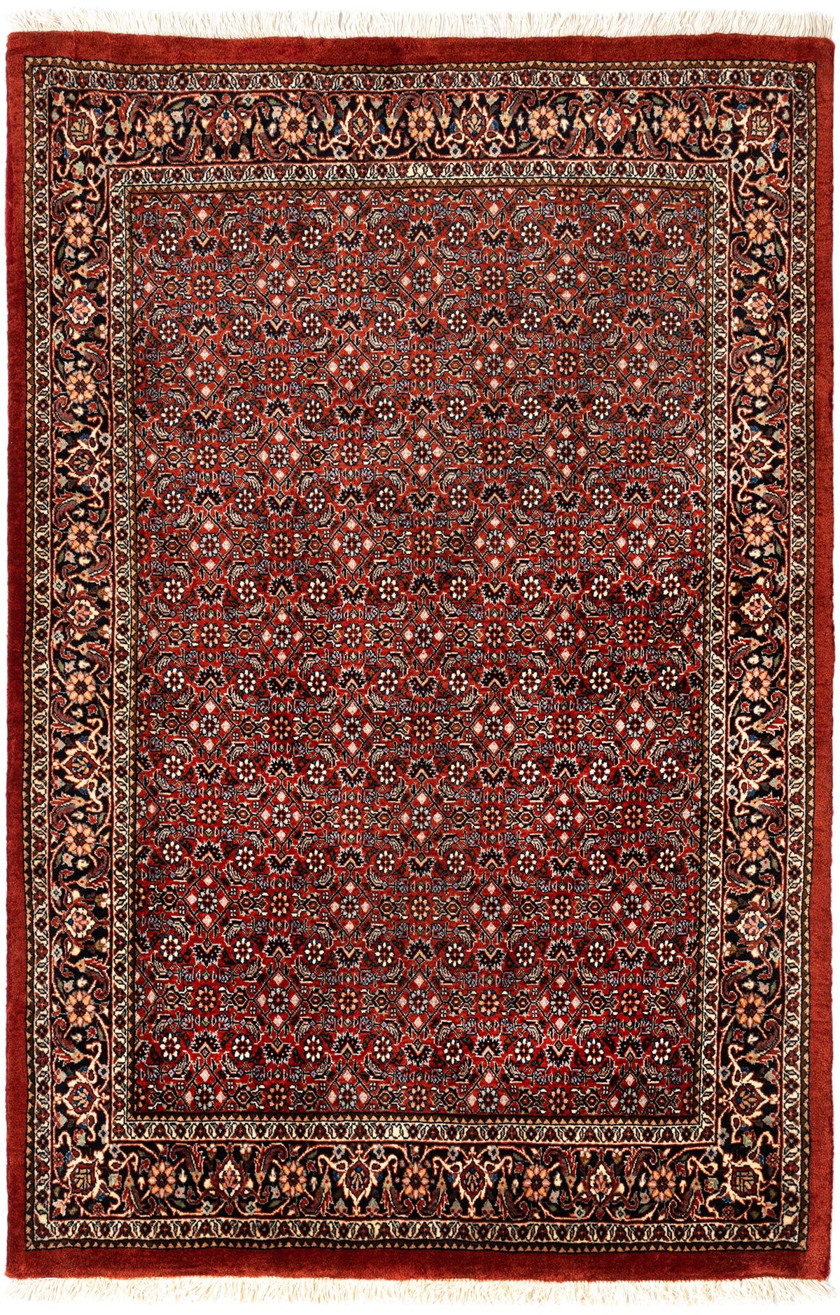 176 x 117 Bidjar