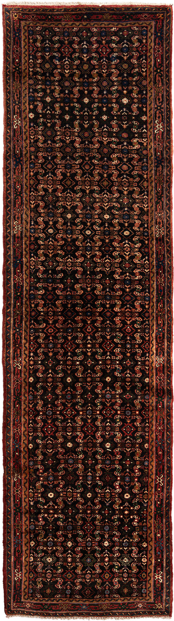 400 x 107 Hamadan