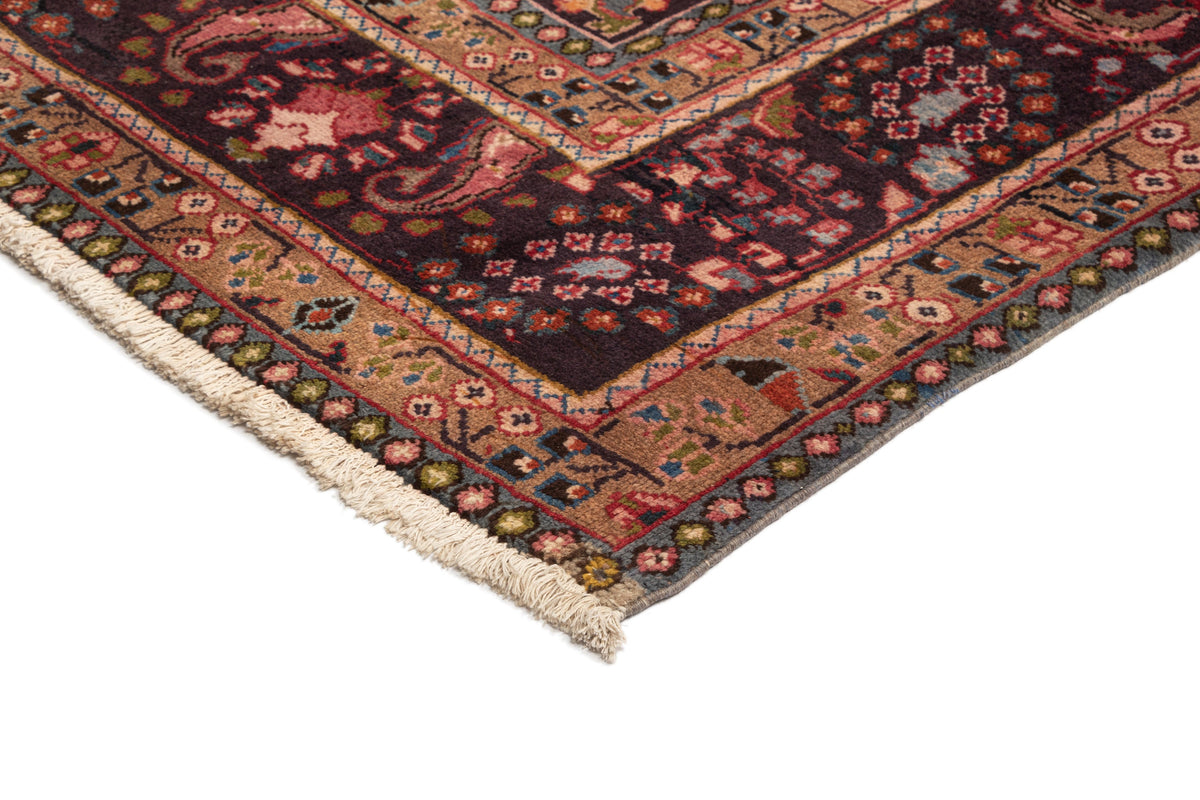 336 x 241 Kashmar