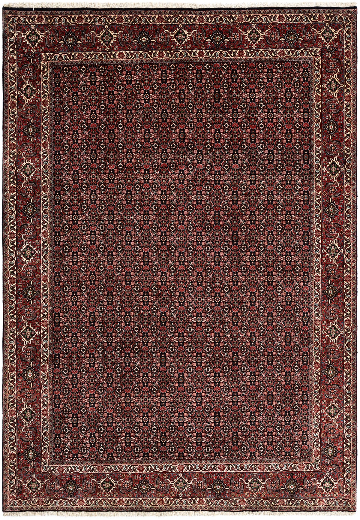 297 x 210 Bidjar