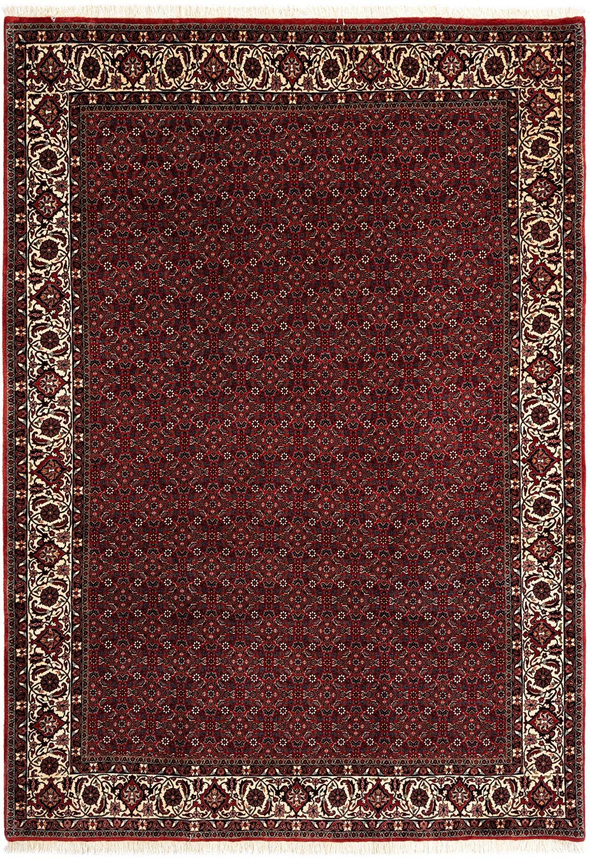 298 x 207 Bidjar