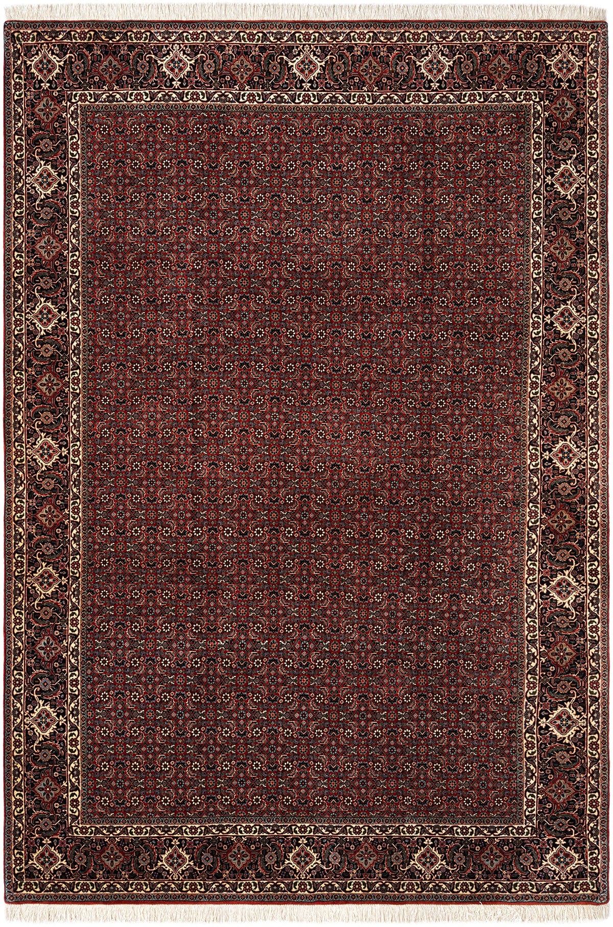 300x201 Bidjar