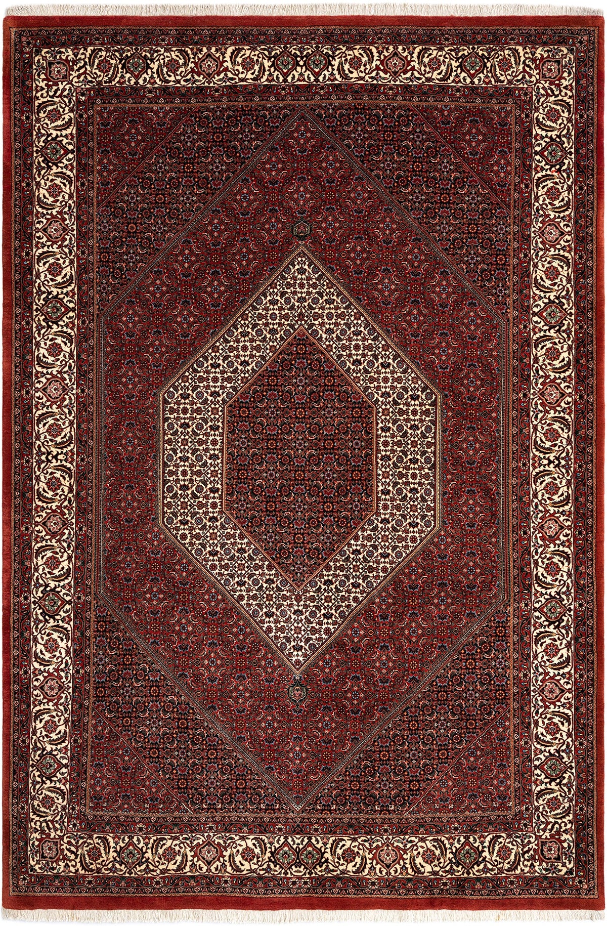 324 x 217 Bidjar