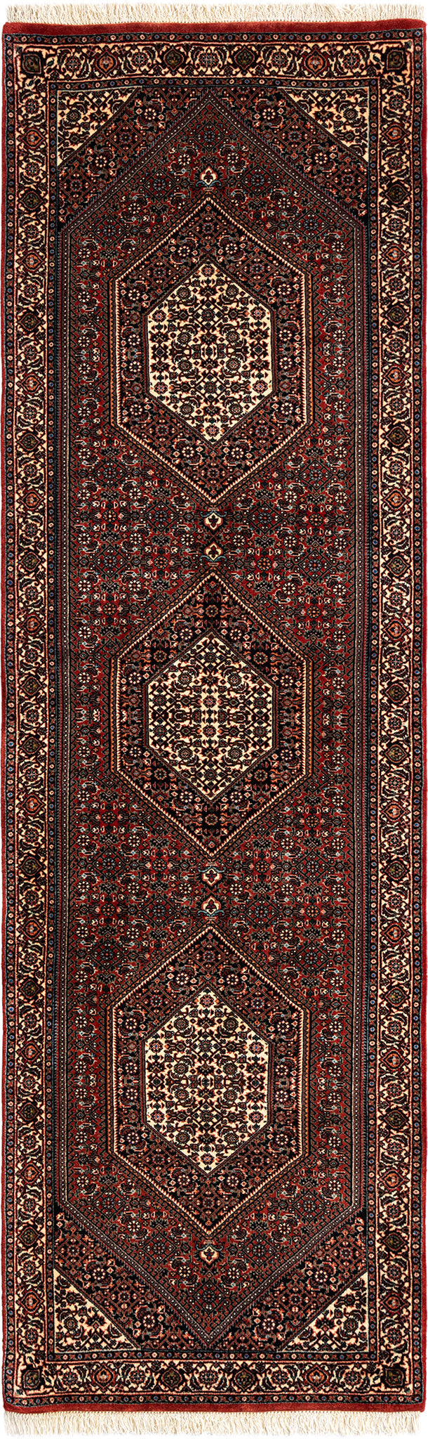 254 x 77 Bidjar