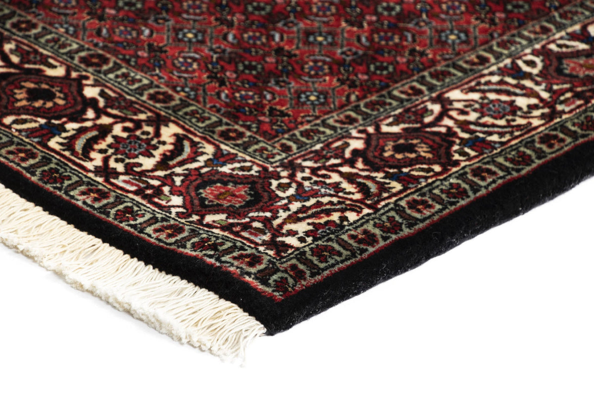 297 x 83 Bidjar