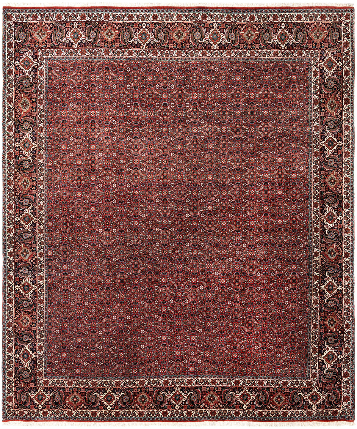 300 x 257 Bidjar