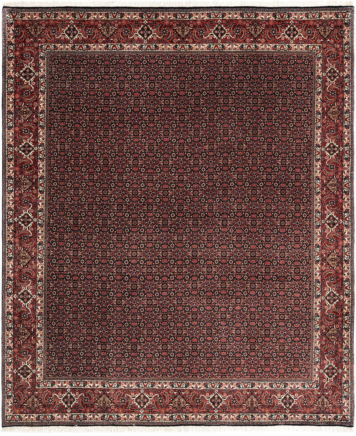 298 x 250 Bidjar