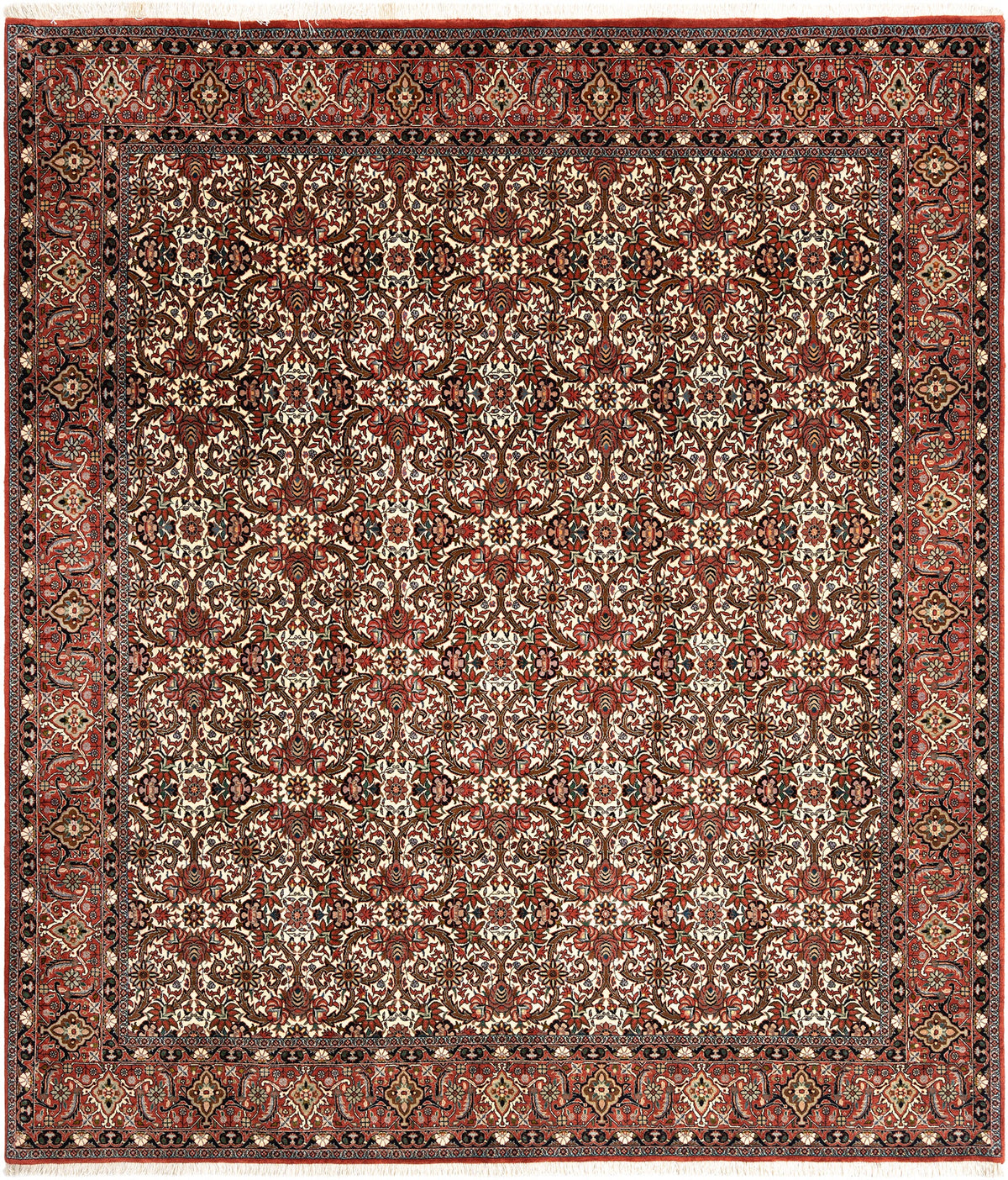 295 x 257 Bidjar