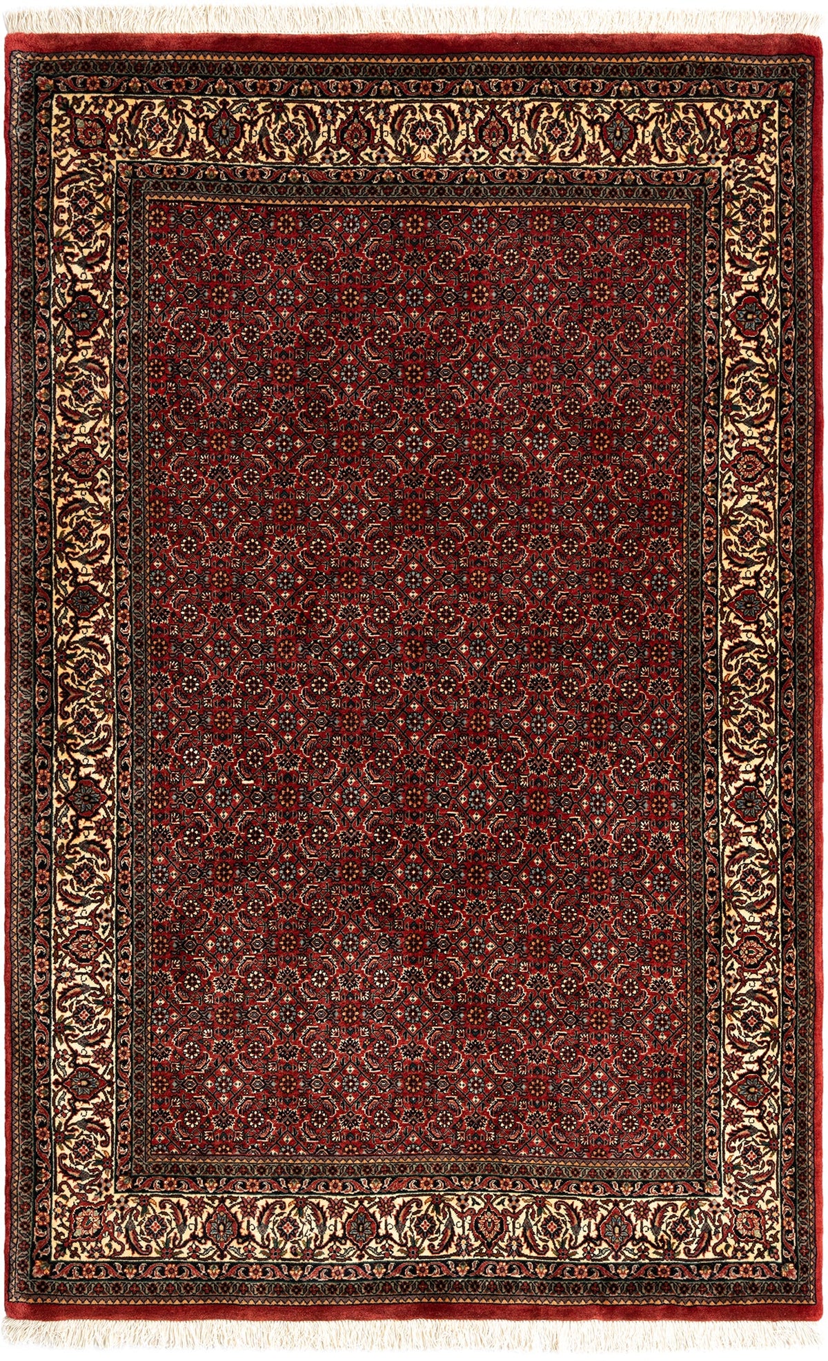 209 x 134 Bidjar