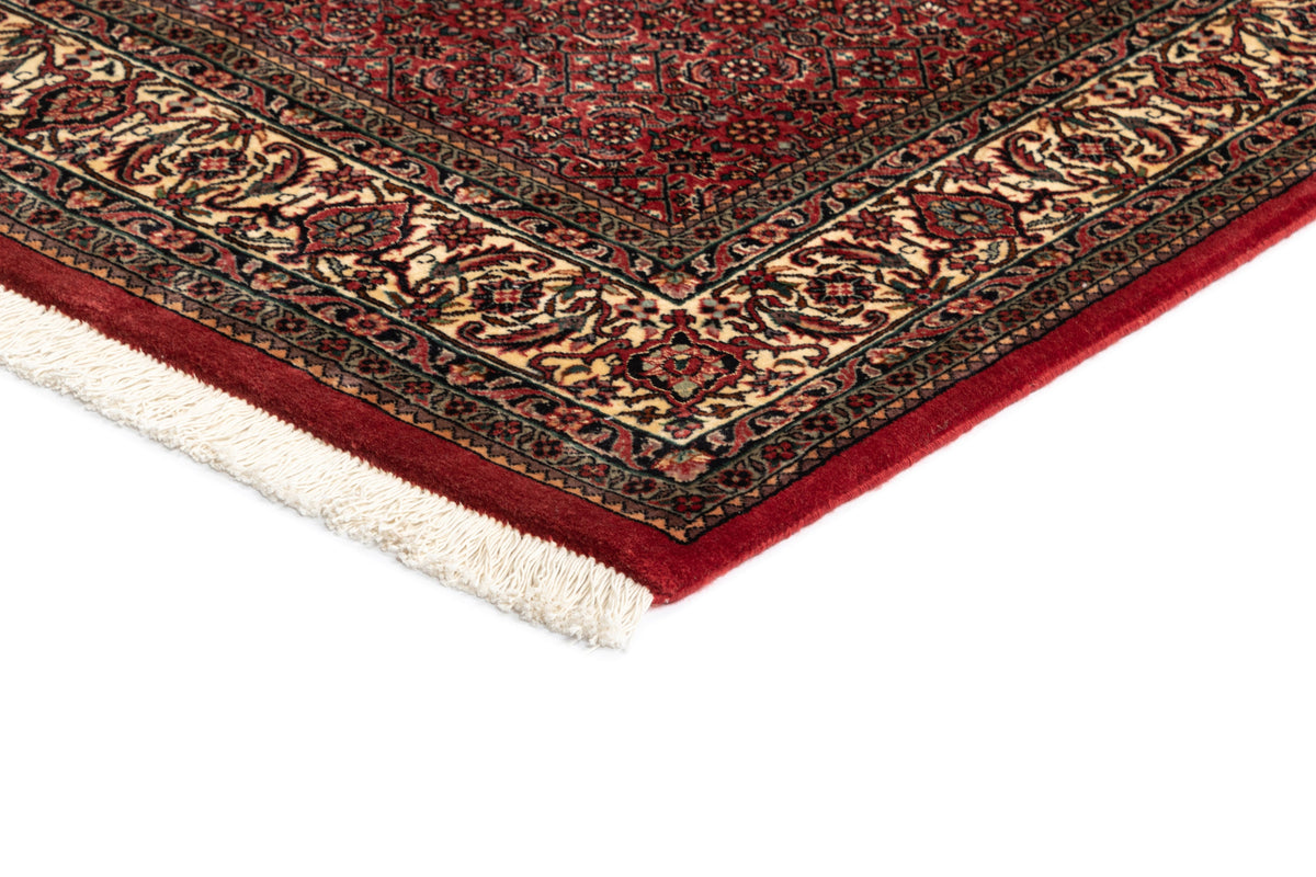 209 x 134 Bidjar