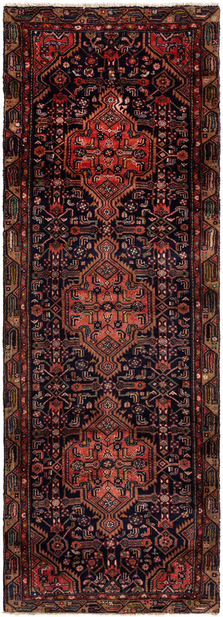 289 x 101 Hamadan