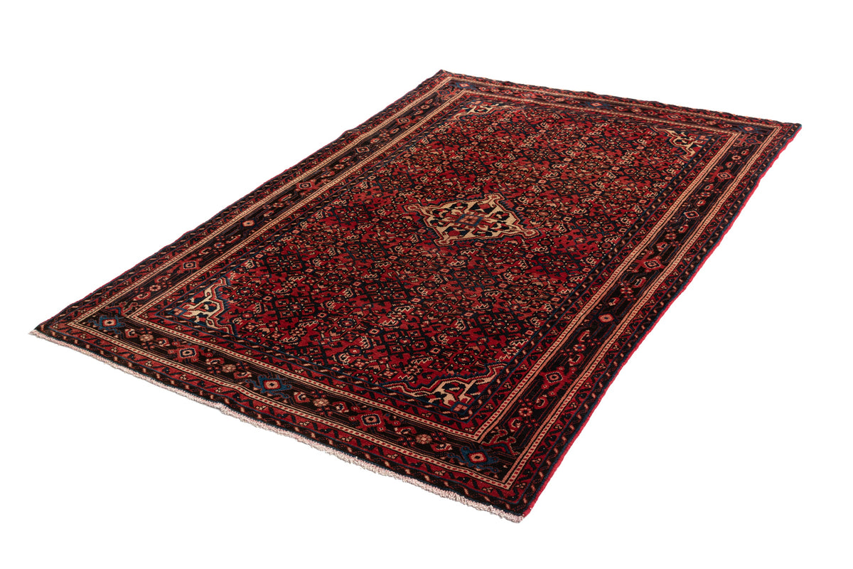 235 x 153 Hamadan