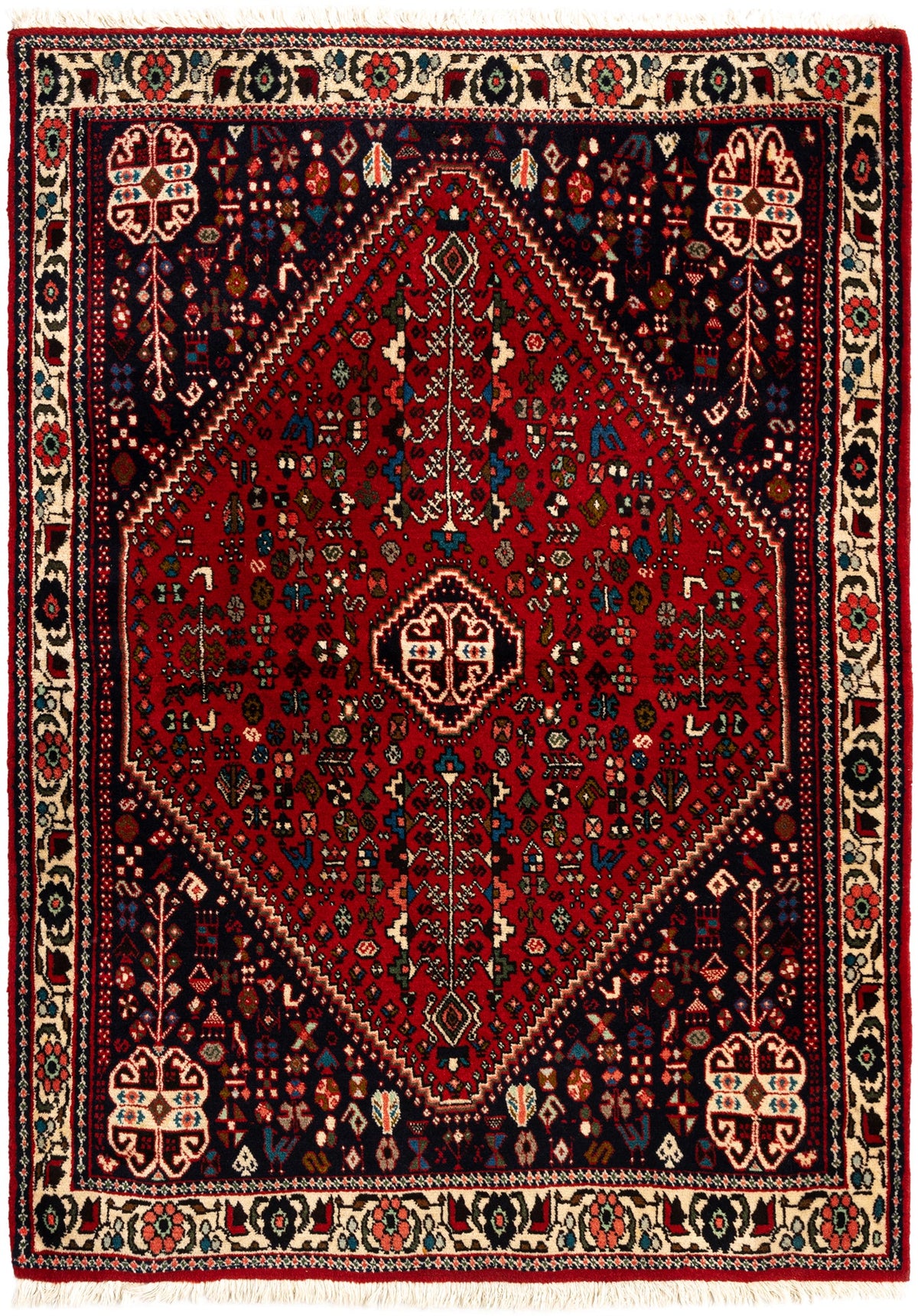 149 x 108 Afshar