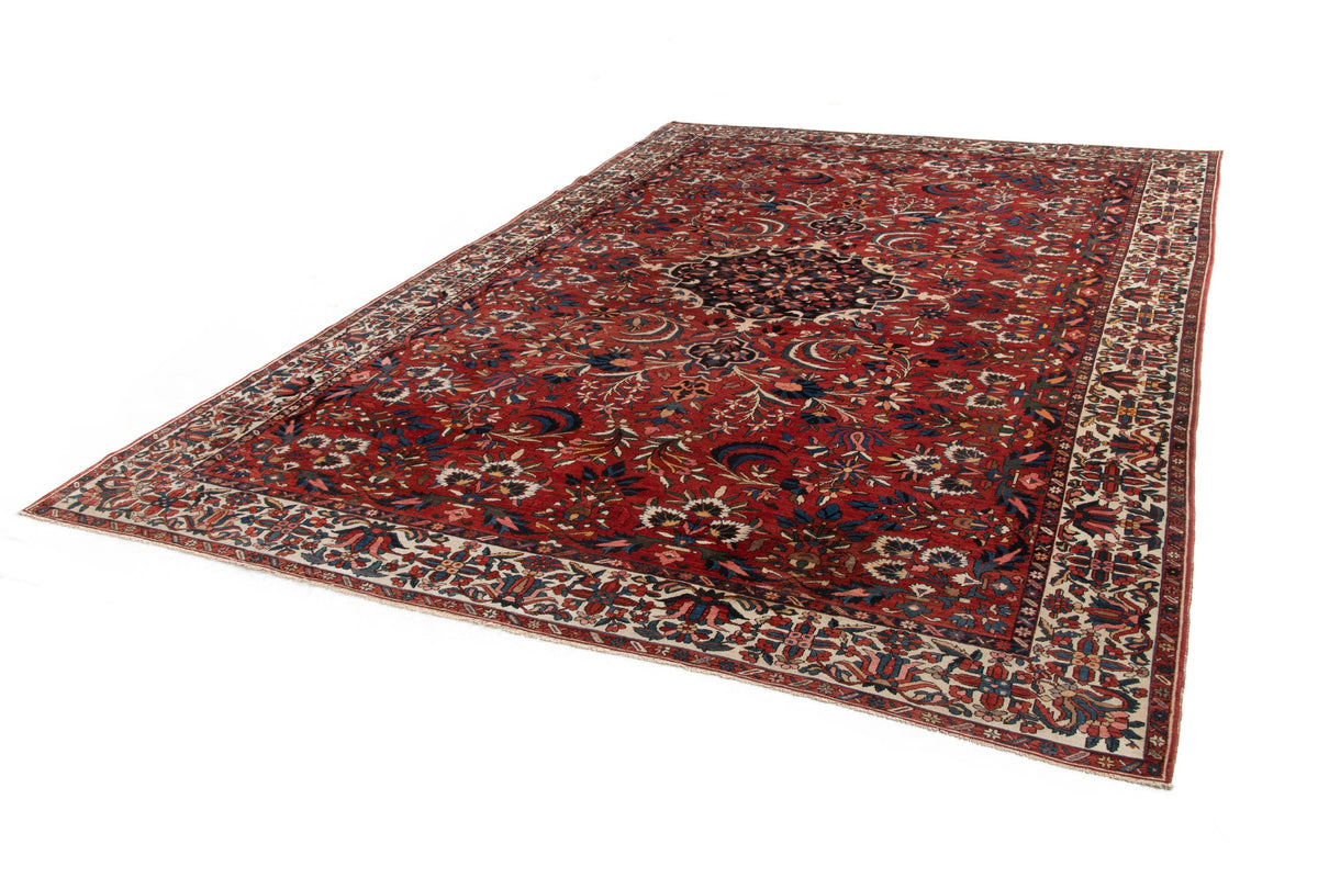 460 x 335 Bakhtiar