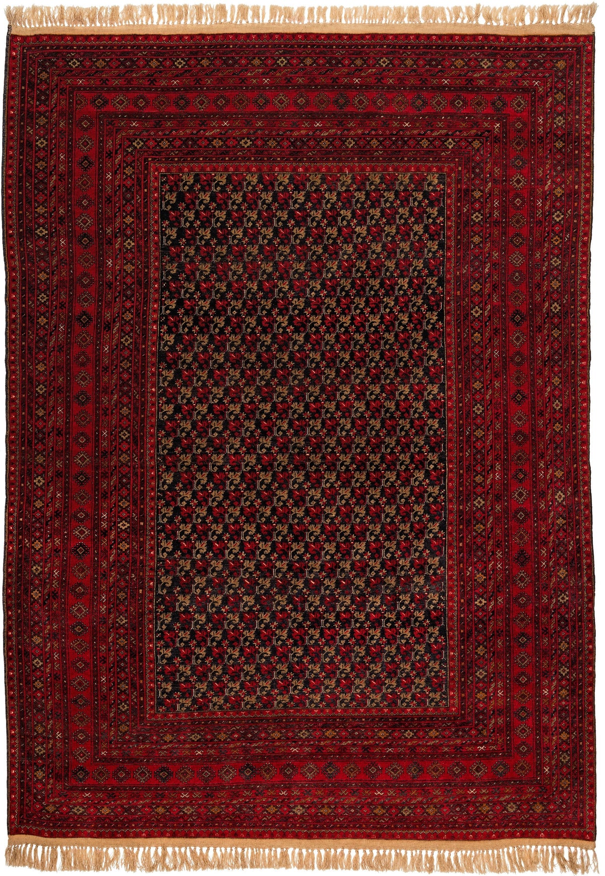 348x254 Afghan Andkhoi