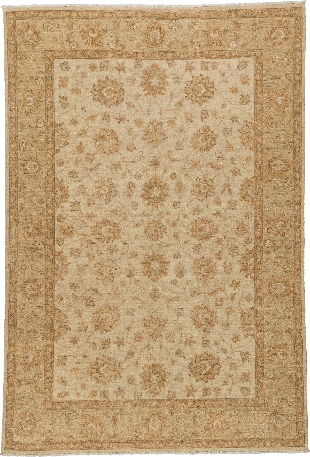 296x200 Ziegler Asmara