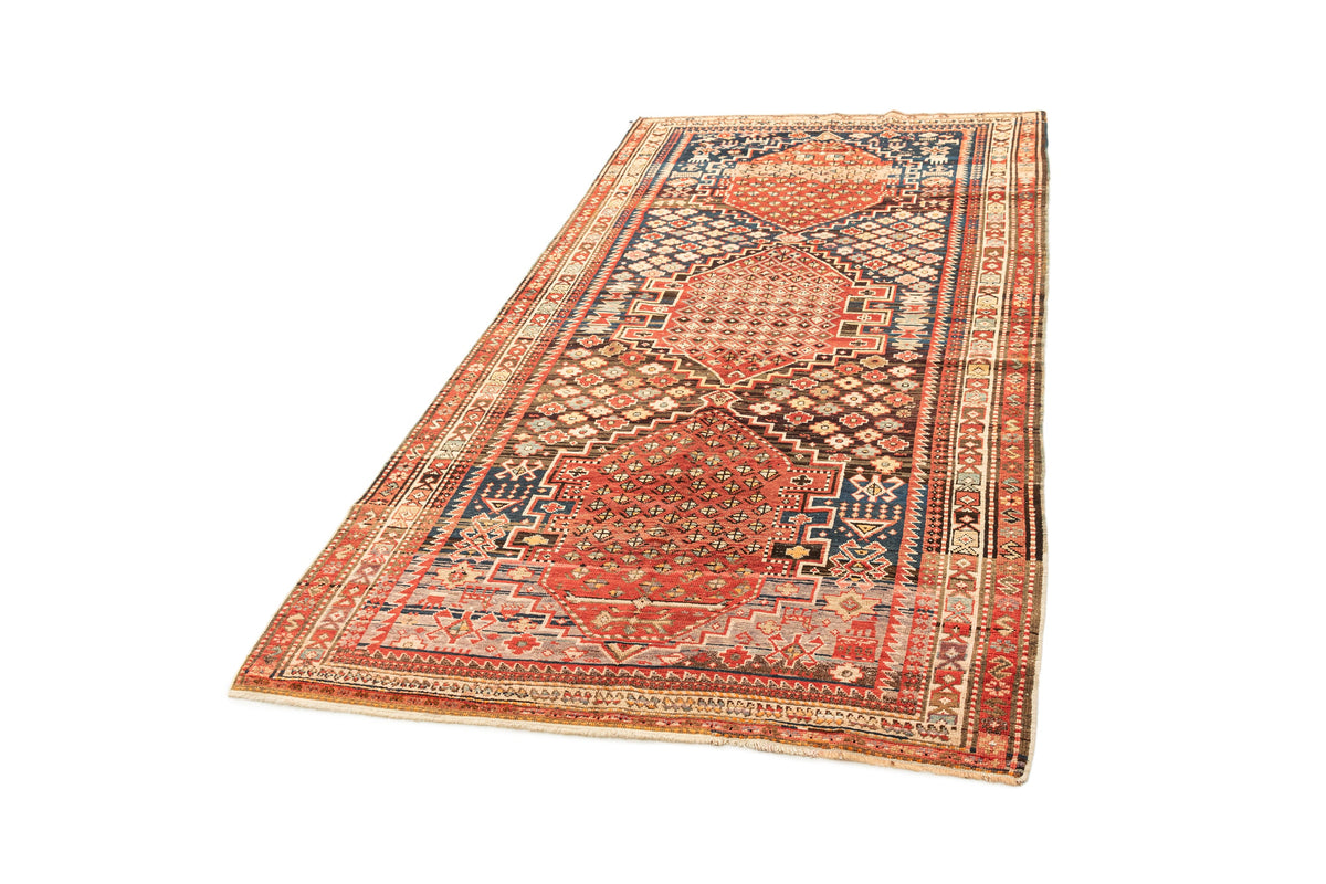 229 x 146 Shirvan