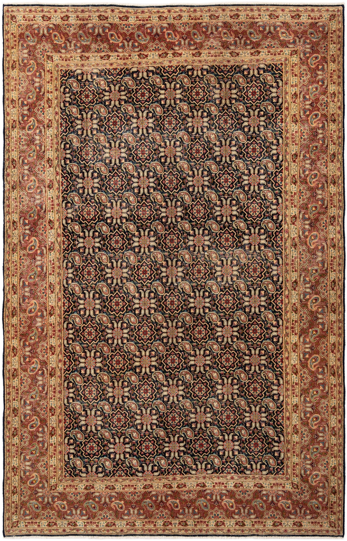 244 x 155 Vintage Royal