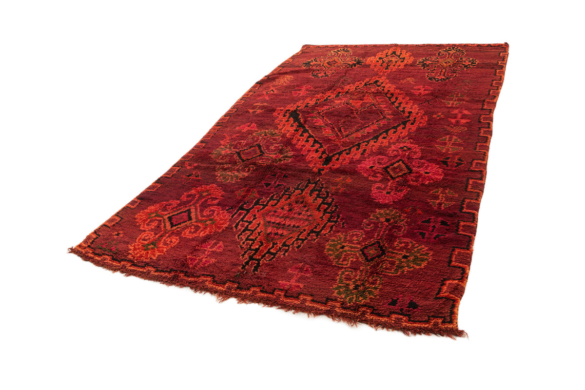 335 x 187 Berber