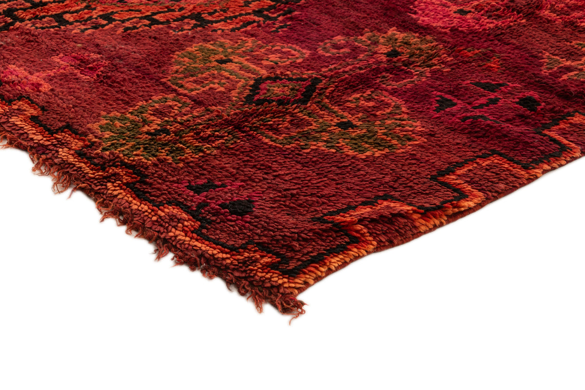 335 x 187 Berber