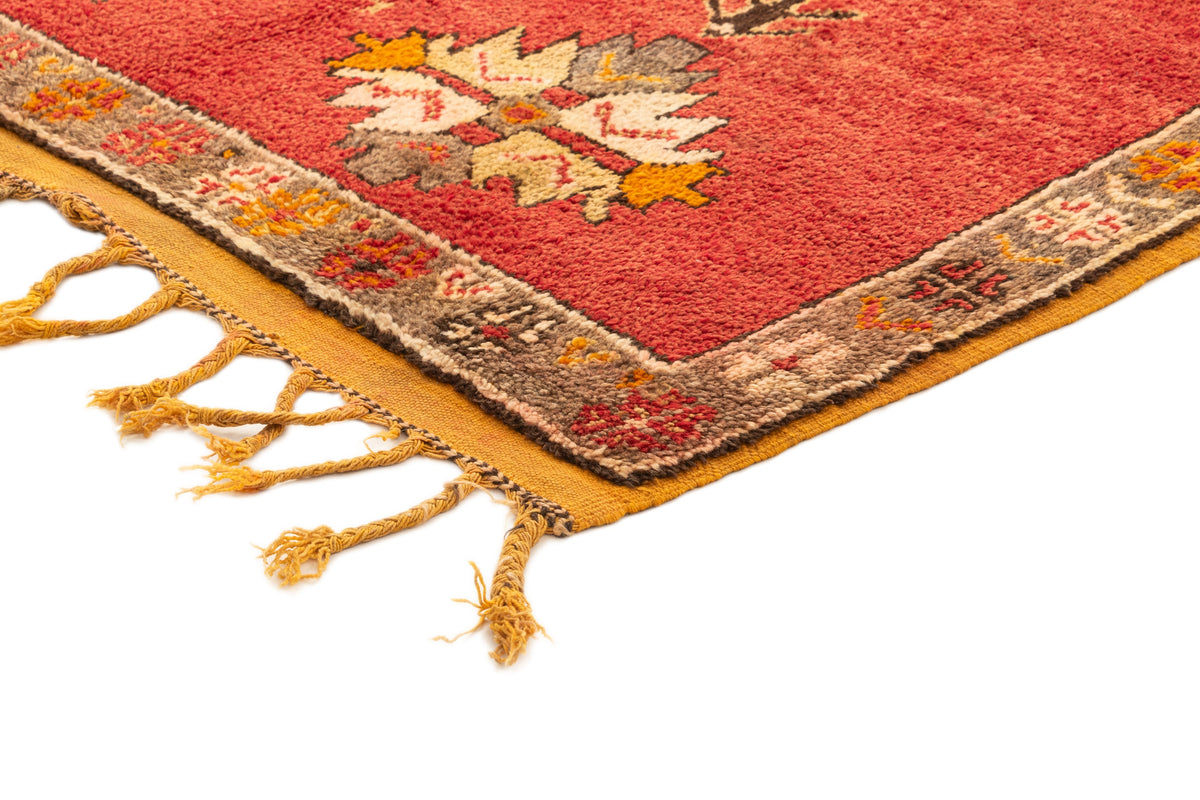 203 x 115 Berber
