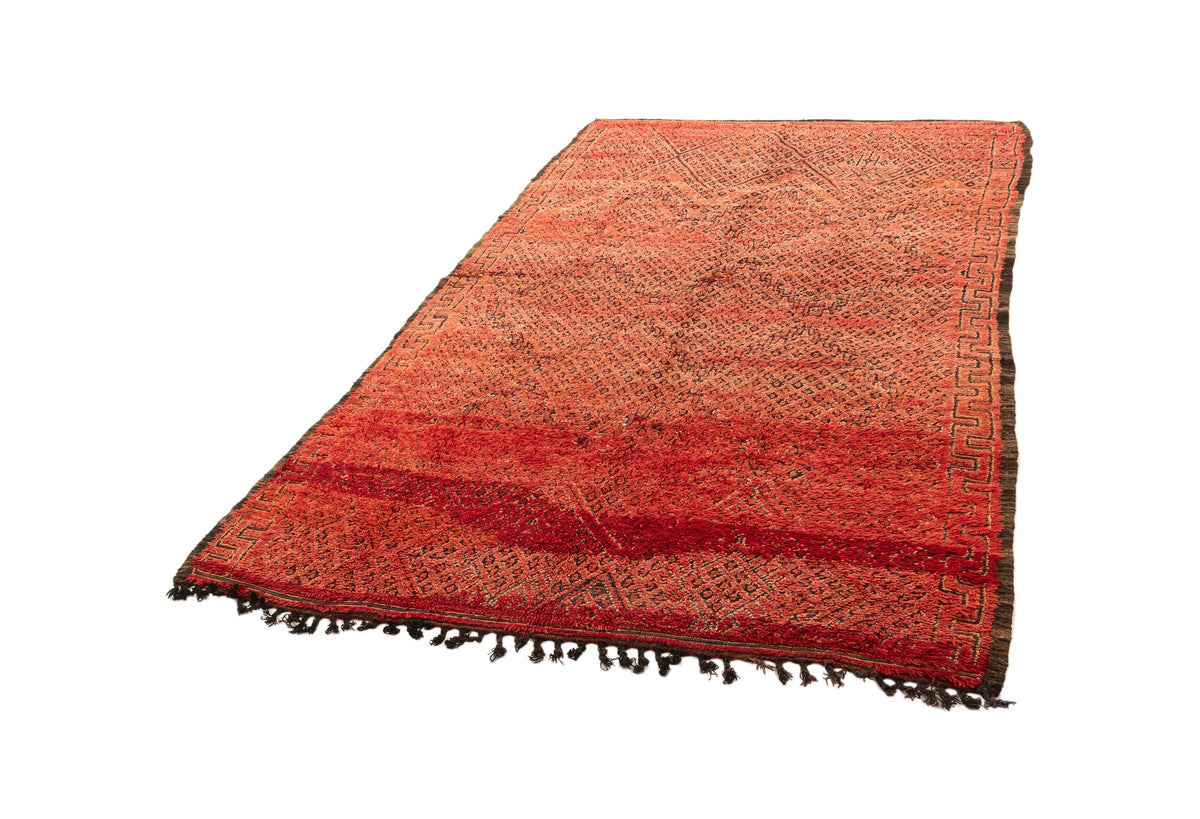 300 x 176 Berber