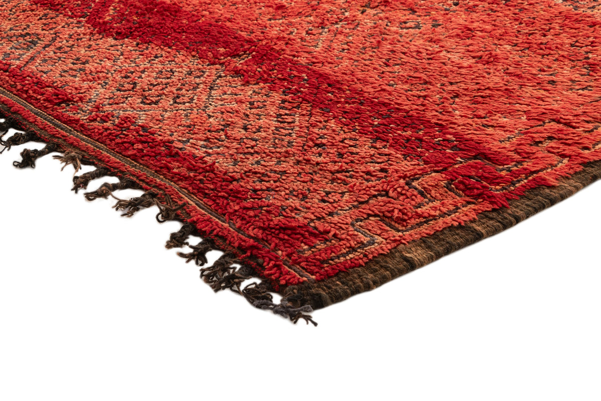 300 x 176 Berber