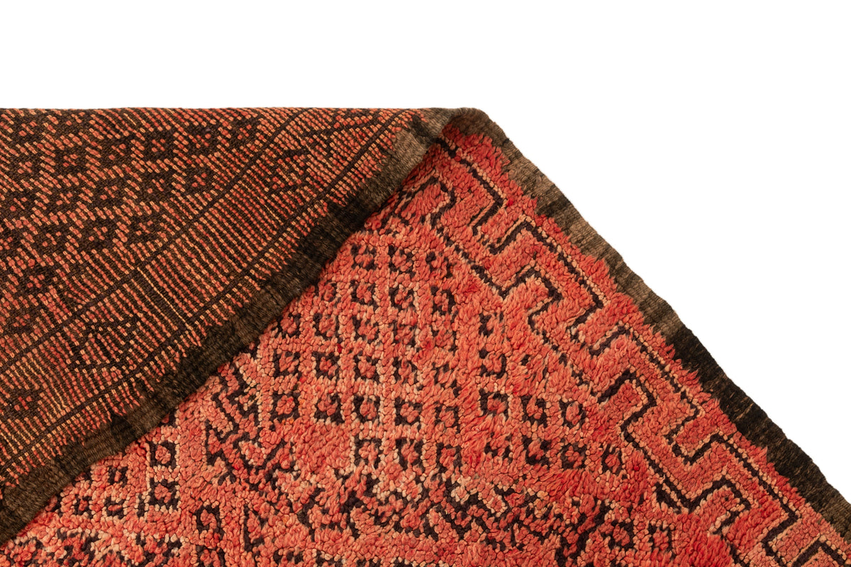 300 x 176 Berber