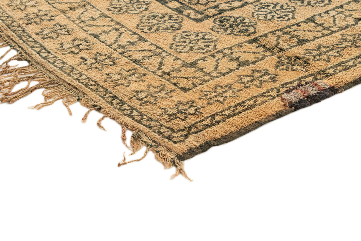 370 x 210 Berber