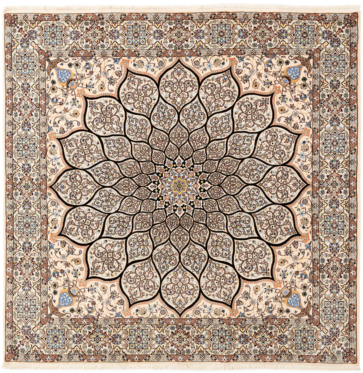 206 x 205 Nain 6 La