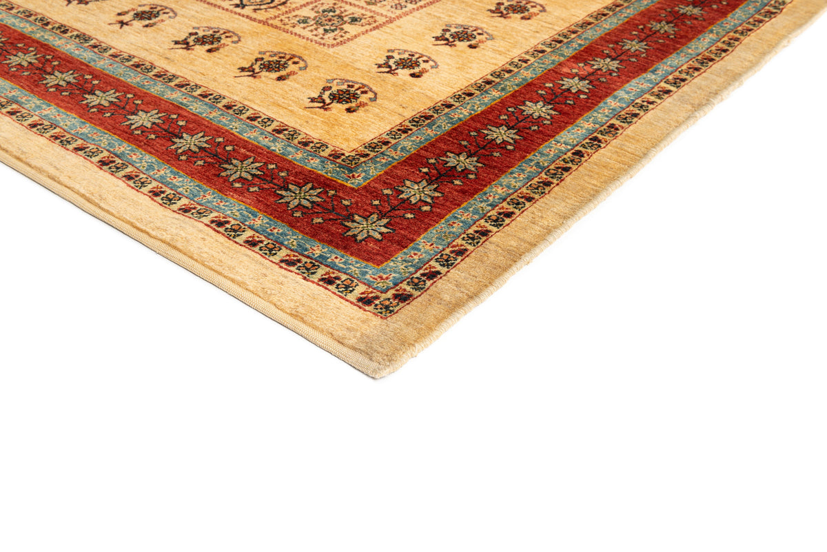 241 x 175 Kashkuli