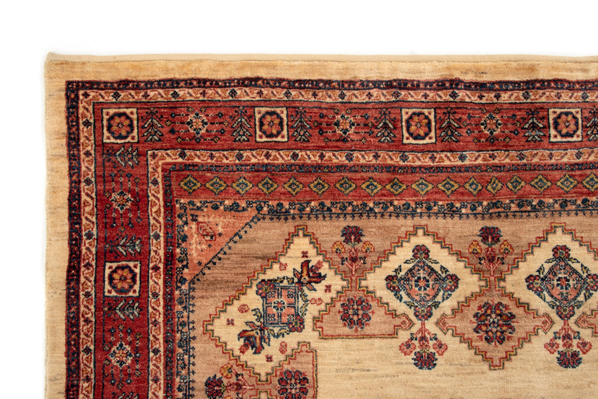 227 x 157 Kashkuli