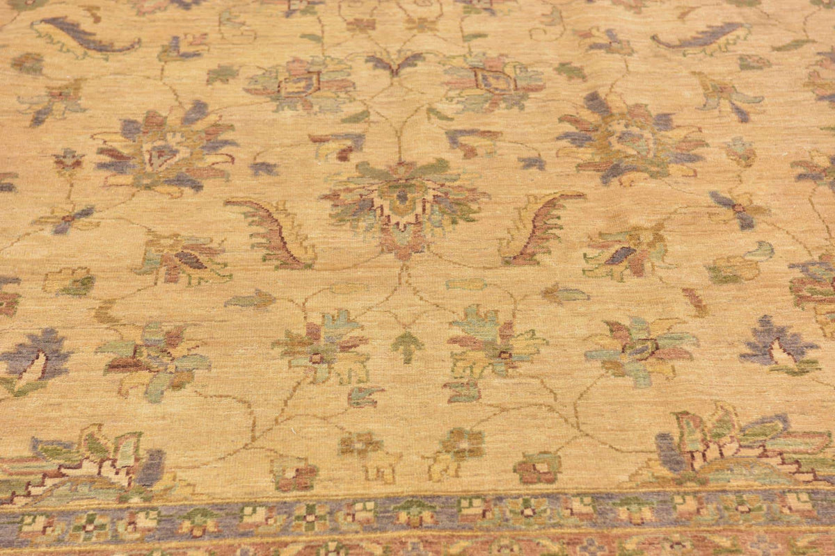 356 x 274 Peshawar Ziegler