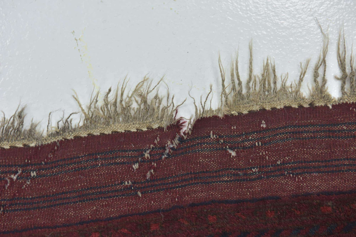 328 x 427 Afghan Mouri
