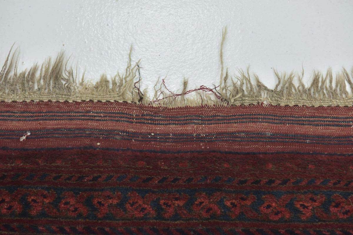 328 x 427 Afghan Mouri