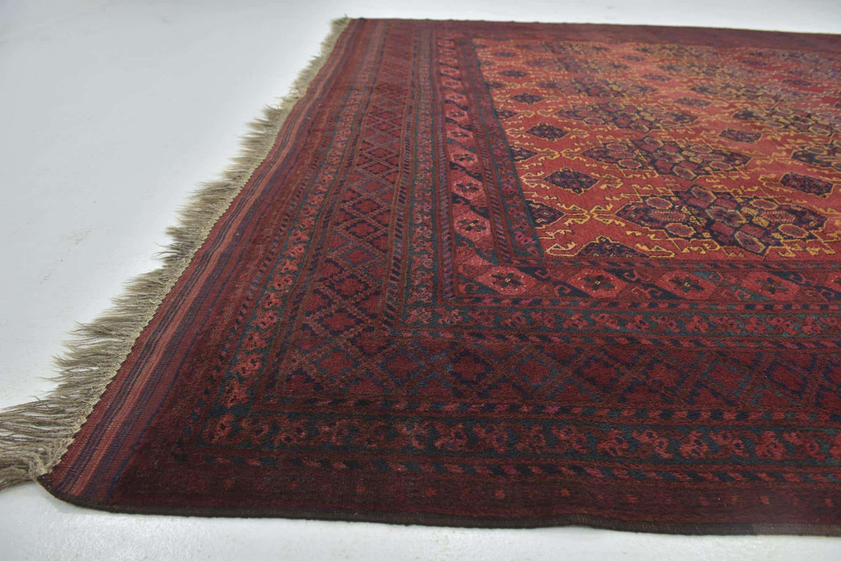 328 x 427 Afghan Mouri