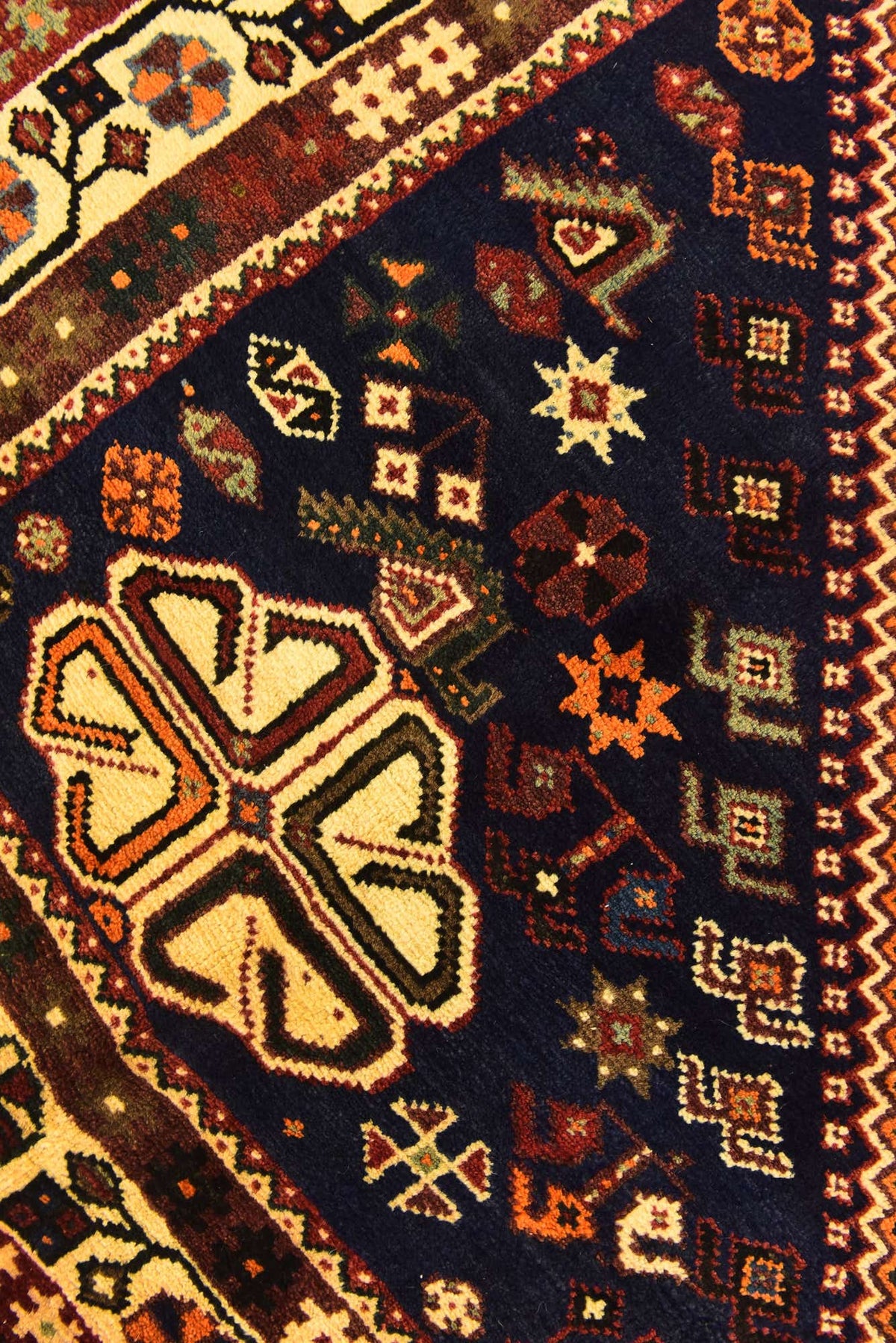 201x297 Ghashghaei