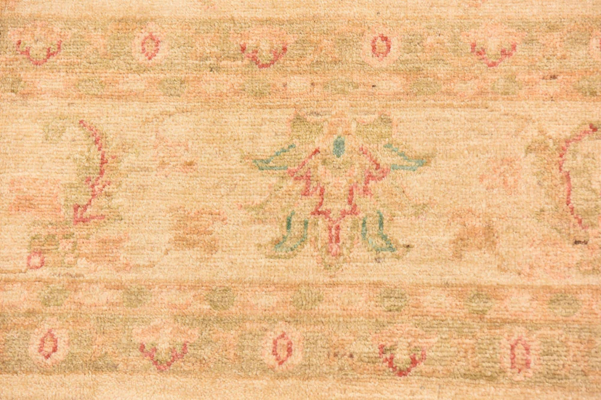 284 x 218 Peshawar Ziegler