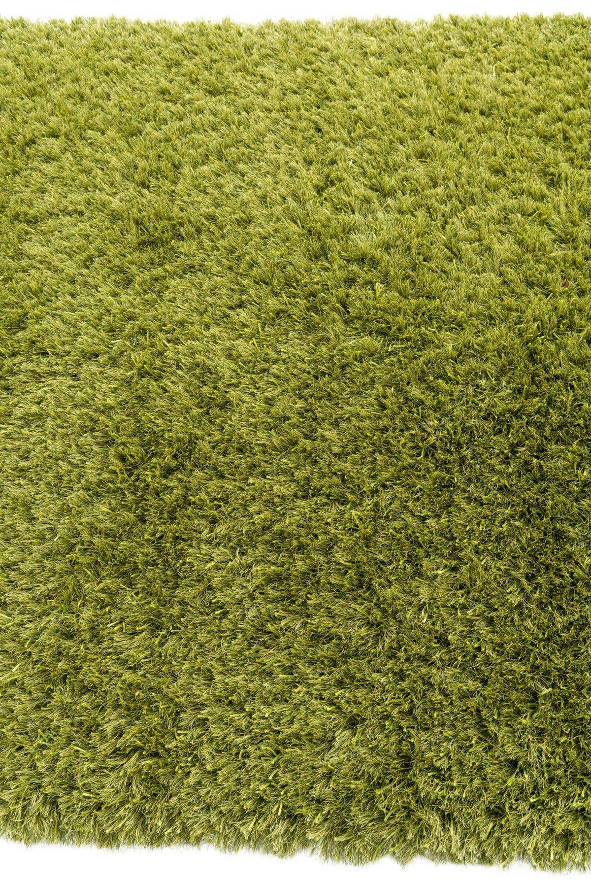 165x231 Shag
