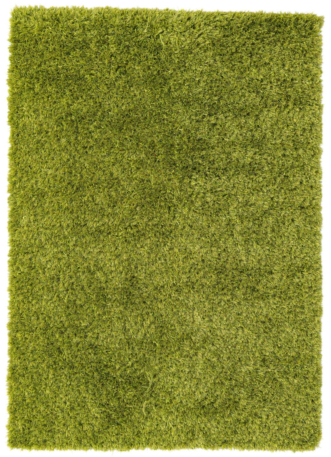 165x231 Shag