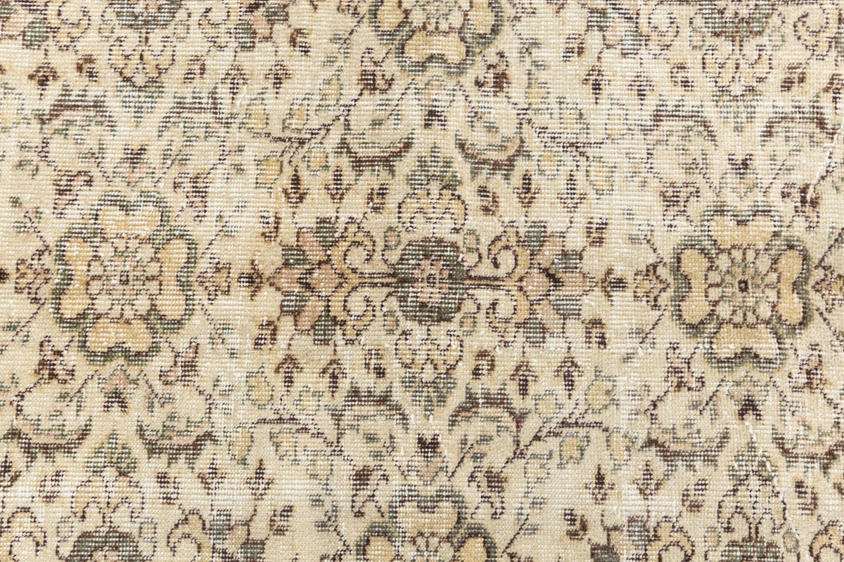282 x 165 Ultra Vintage
